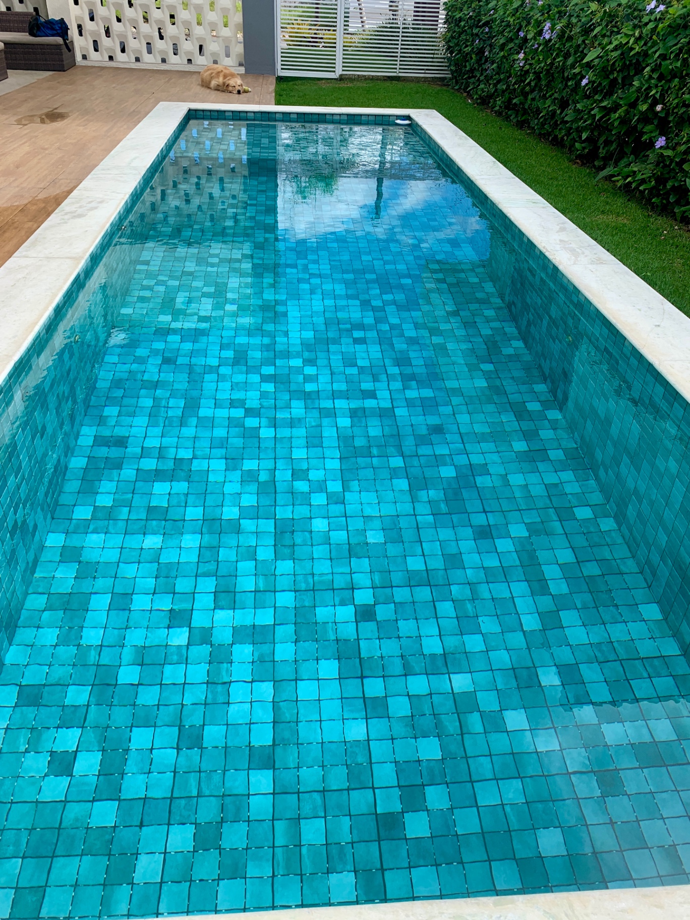 Cuidado adaptado à piscina residencial