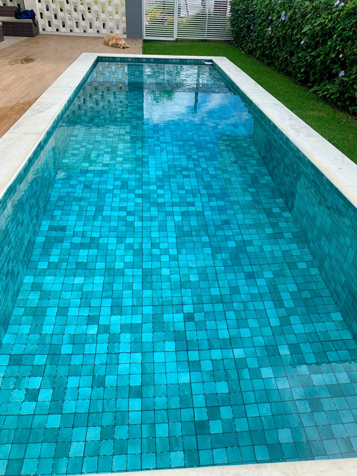 Piscina residencial com água transparente